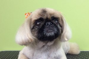 10月のお友達☆