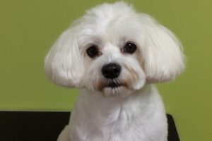 10月のお友達☆