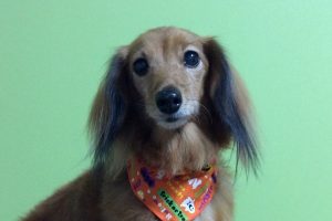 10月のお友達☆