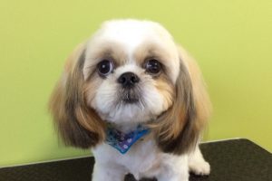 10月のお友達☆