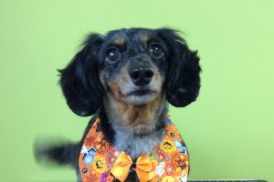 10月のお友達☆