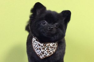 10月のお友達☆