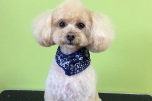 10月のお友達☆