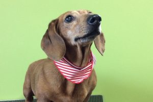 10月のお友達☆