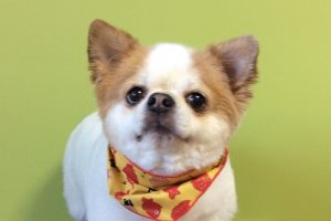 10月のお友達☆