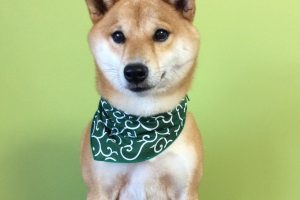 10月のお友達☆