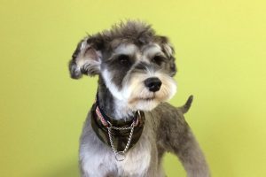 10月のお友達☆