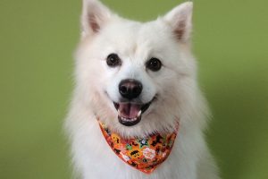 10月のお友達☆