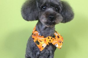 10月のお友達☆