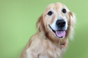 10月のお友達☆