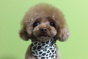 10月のお友達☆