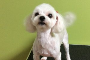 11月のお友達☆