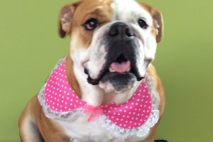 11月のお友達☆