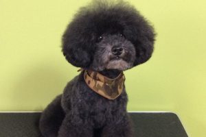 11月のお友達☆