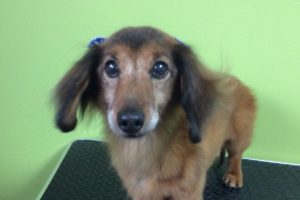 11月のお友達☆