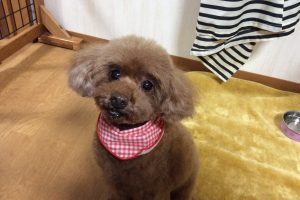 11月のお友達☆