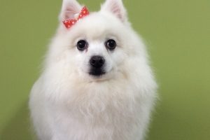 11月のお友達☆