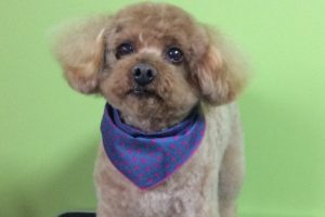 11月のお友達☆