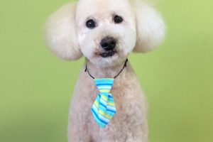 11月のお友達☆