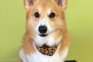 11月のお友達☆