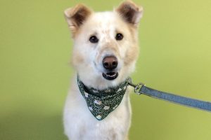 11月のお友達☆