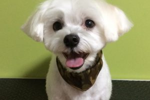 11月のお友達☆