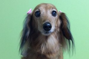 11月のお友達☆