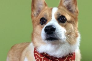 11月のお友達☆