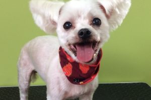 11月のお友達☆