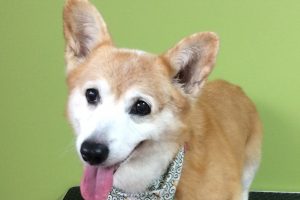 11月のお友達☆