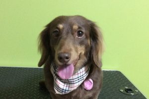 11月のお友達☆