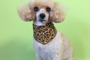 11月のお友達☆