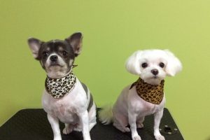 11月のお友達☆