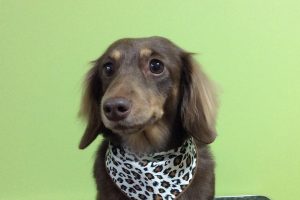 11月のお友達☆