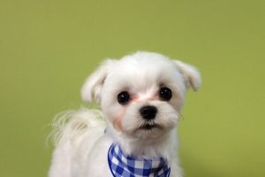 11月のお友達☆