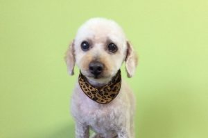 11月のお友達☆