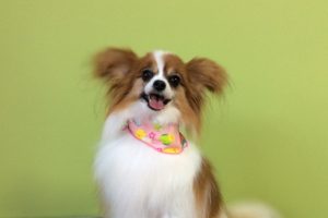 11月のお友達☆