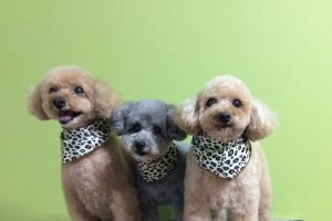 11月のお友達☆