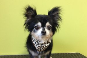 11月のお友達☆