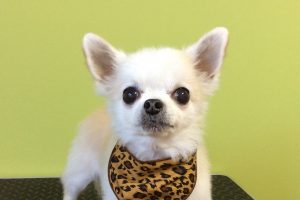 11月のお友達☆