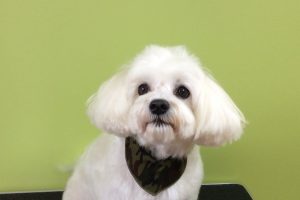 11月のお友達☆