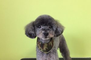 11月のお友達☆