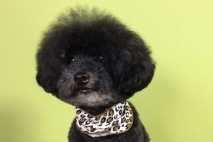 11月のお友達☆