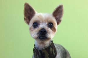 11月のお友達☆