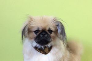 11月のお友達☆