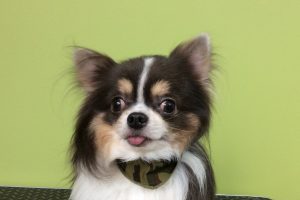 11月のお友達☆