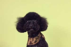 11月のお友達☆