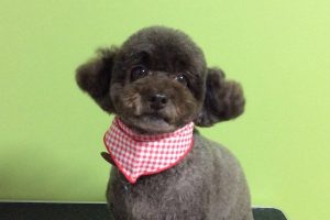 11月のお友達☆