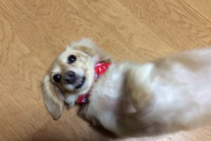 11月のお友達☆