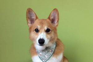 11月のお友達☆